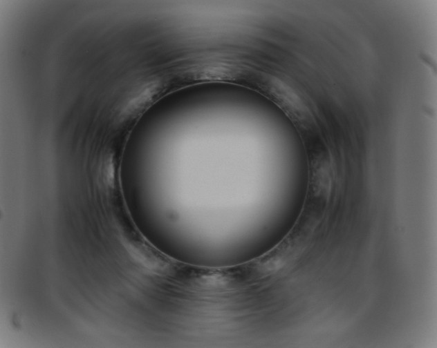 X0000097780310200803071355