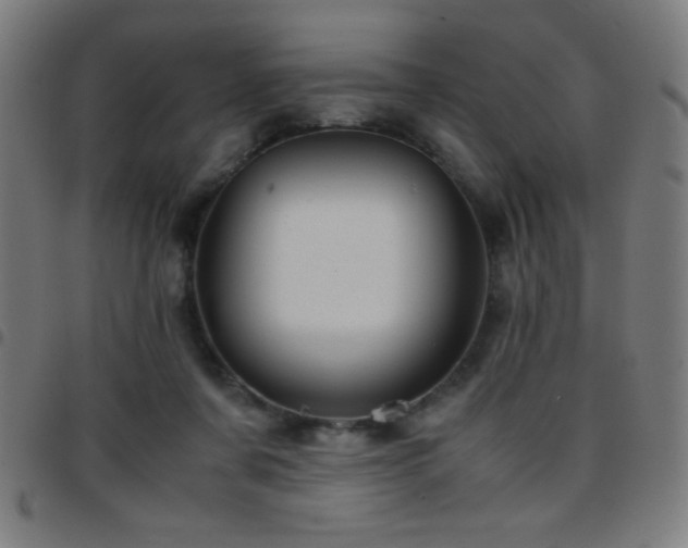 X0000097780311200803071355