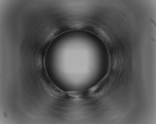 X0000097780312200803071355