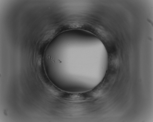 X0000097780315200803071355