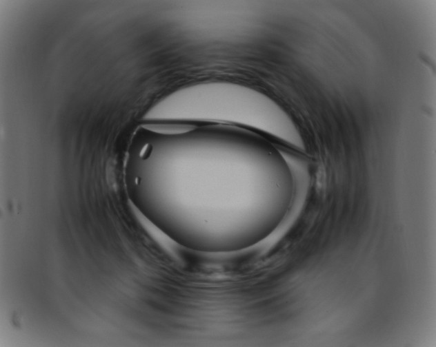 X0000097780316200803071355