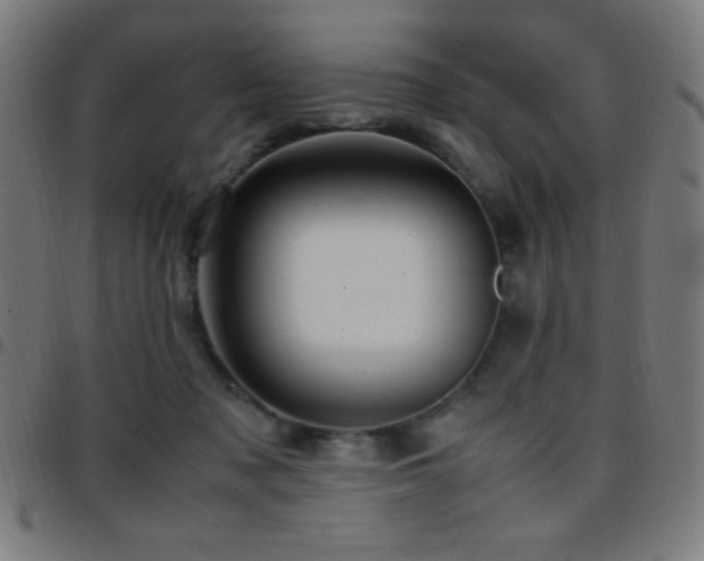 X0000097780317200803071355