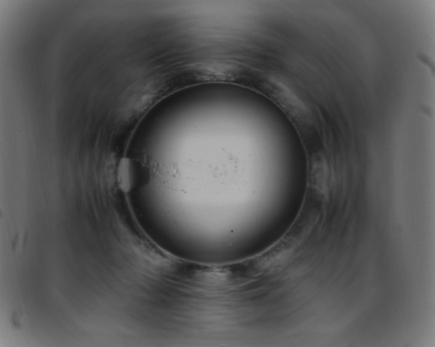X0000097780318200803071355