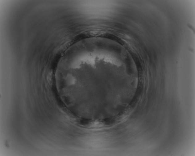 X0000097780319200803071355