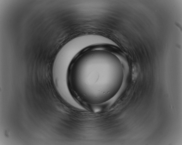 X0000097780320200803071355