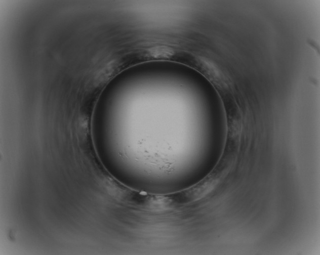 X0000097780321200803071355