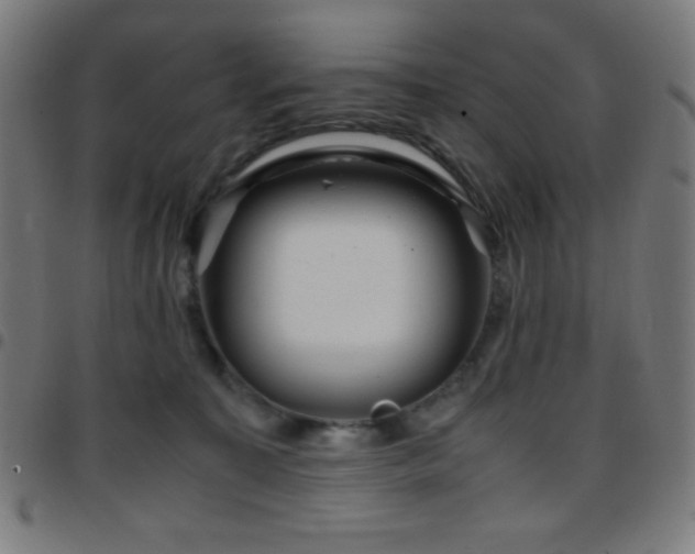X0000097780323200803071355