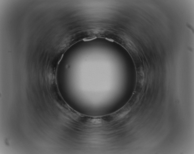 X0000097780324200803071355