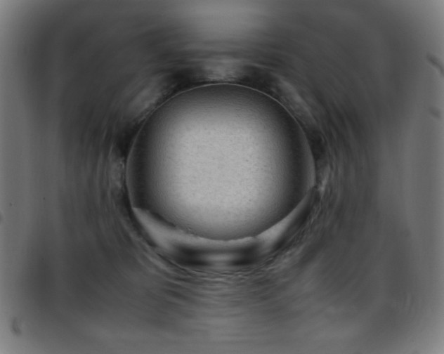 X0000097780325200803071355