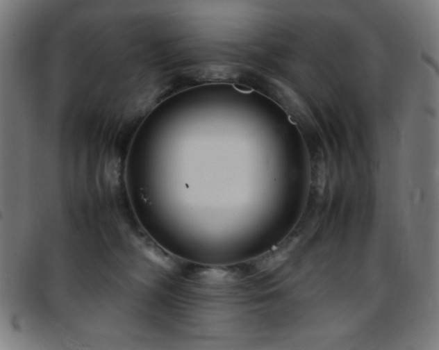 X0000097780326200803071355