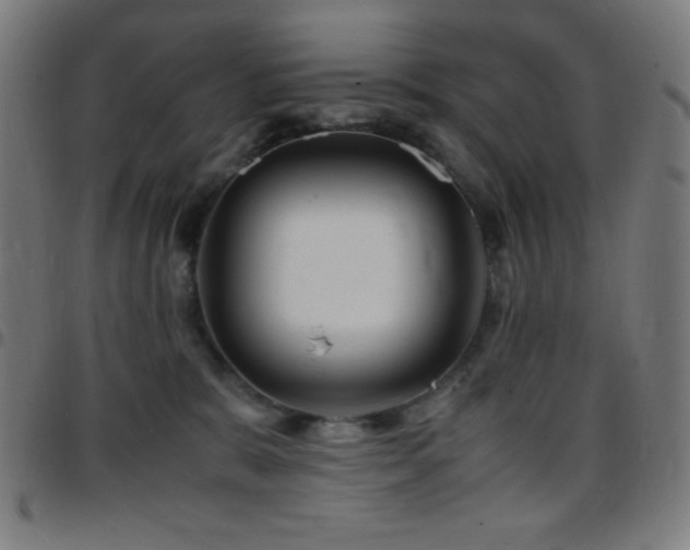 X0000097780327200803071355