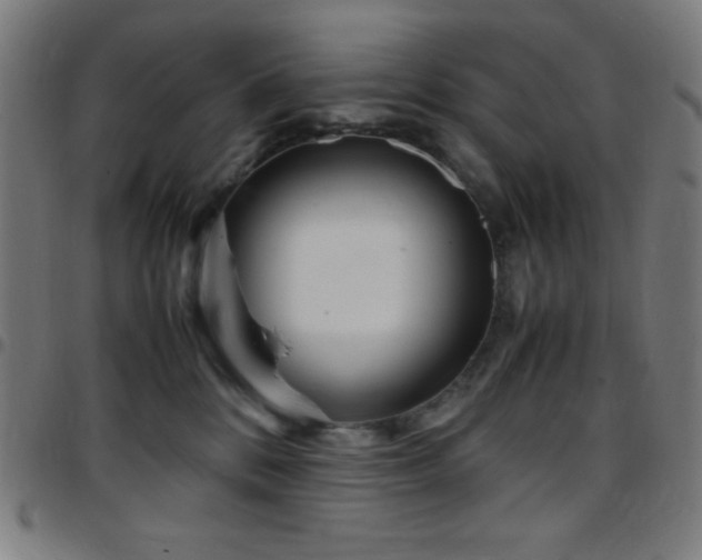 X0000097780328200803071355
