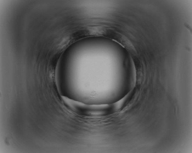 X0000097780329200803071355