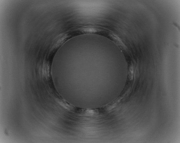 X0000097780330200803071355