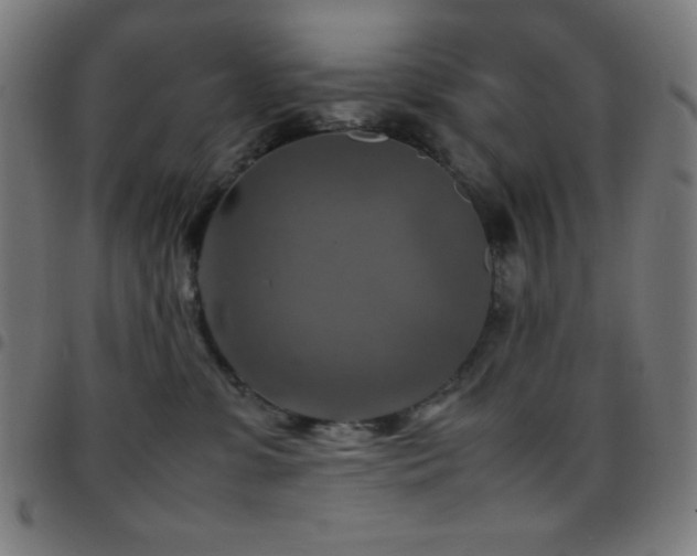 X0000097780331200803071355