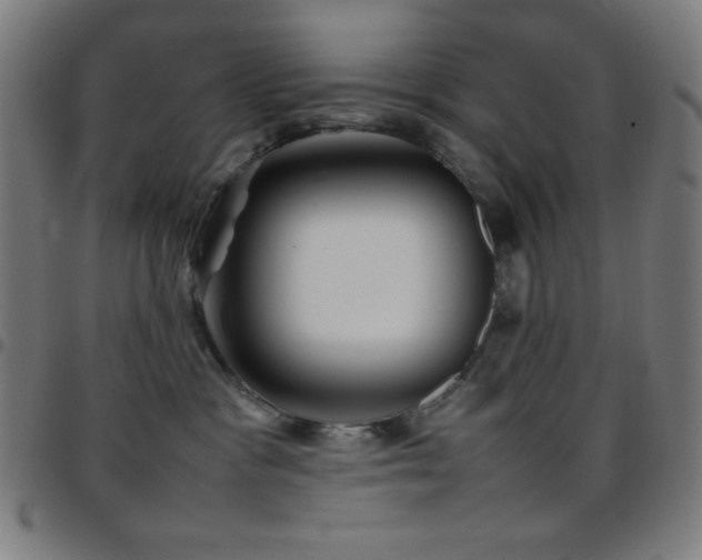 X0000097780333200803071355