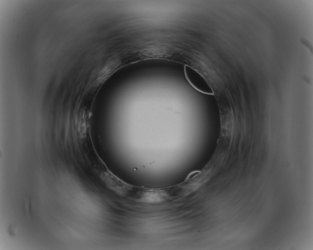 X0000097780334200803071355