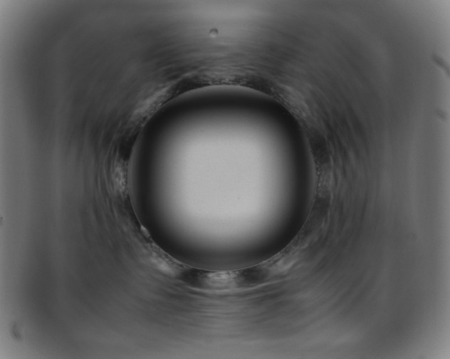 X0000097780335200803071355