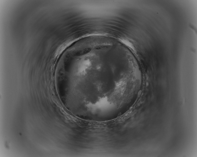 X0000097780337200803071354