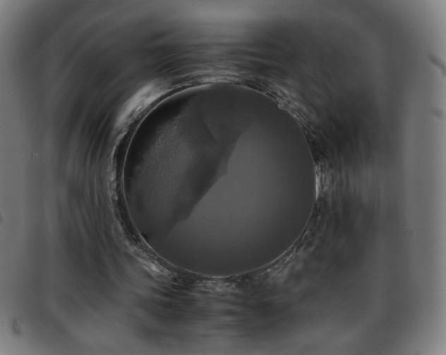 X0000097780339200803071354