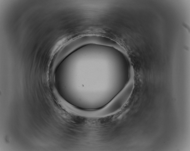 X0000097780340200803071354