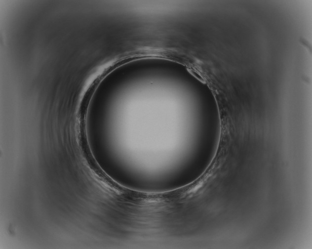 X0000097780342200803071354