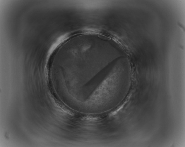 X0000097780343200803071354