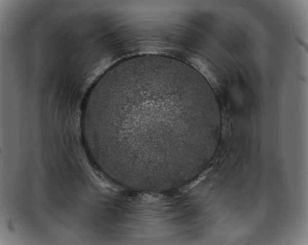 X0000097780346200803071355