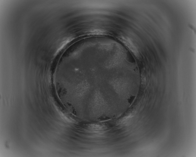 X0000097780347200803071355