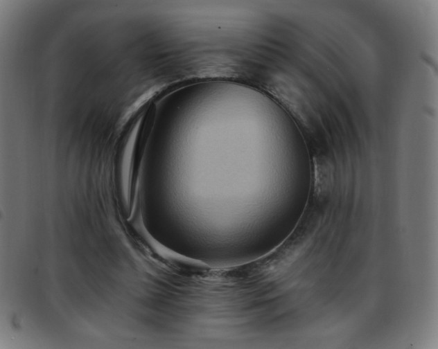 X0000097780348200803071355