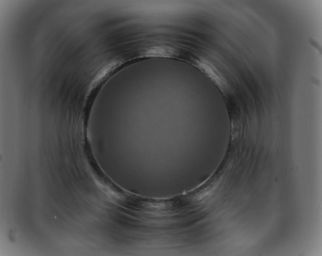 X0000097780349200803071355