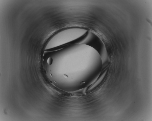 X0000097780352200803071355
