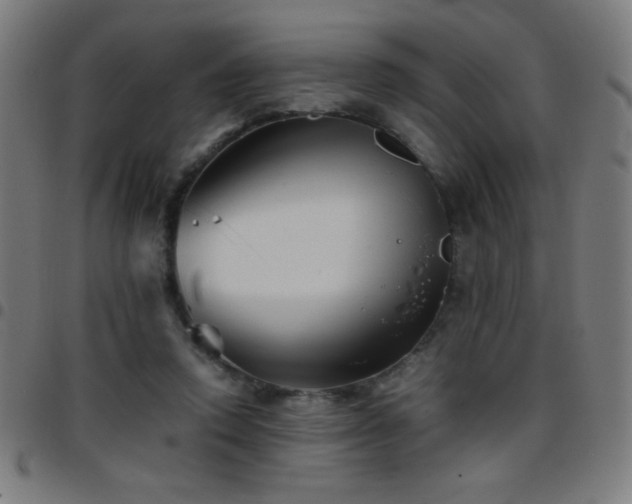 X0000097780354200803071355
