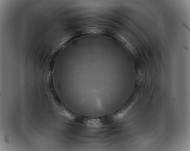 X0000097780355200803071355