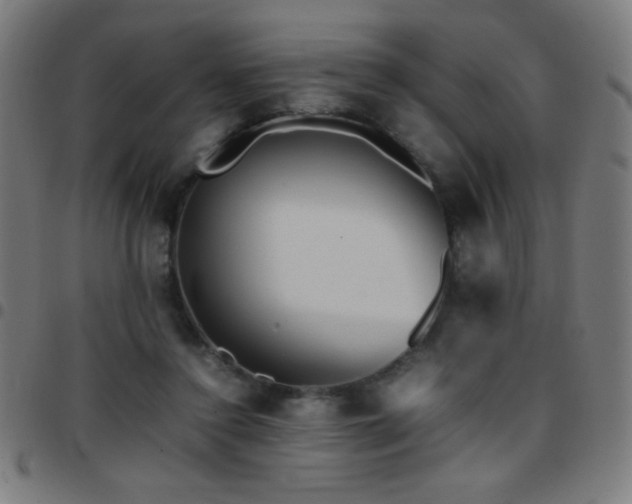X0000097780356200803071355