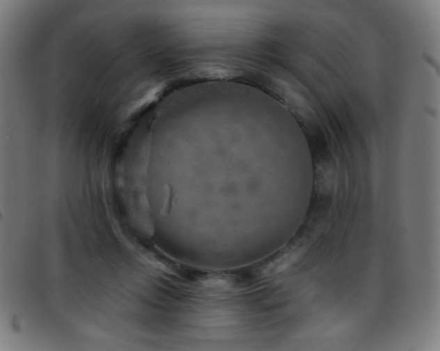 X0000097780358200803071355