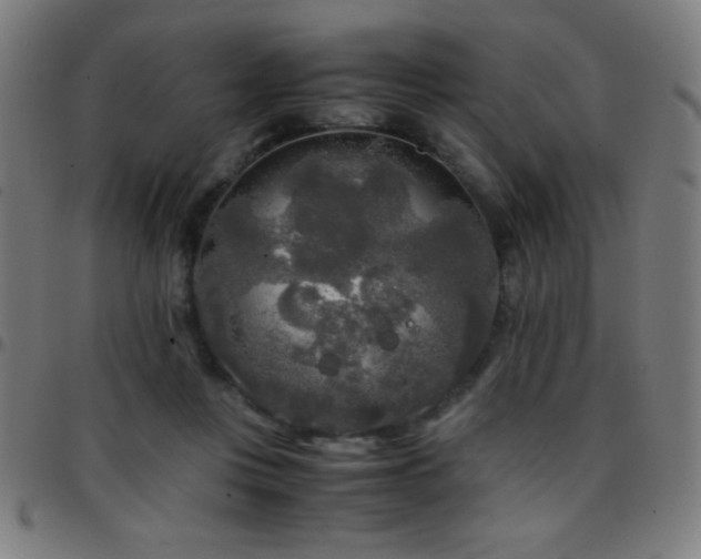 X0000097780359200803071355