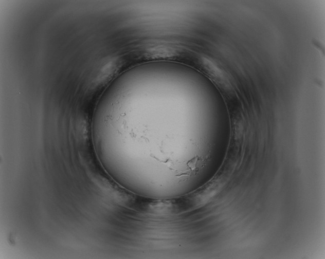 X0000097780362200803071355