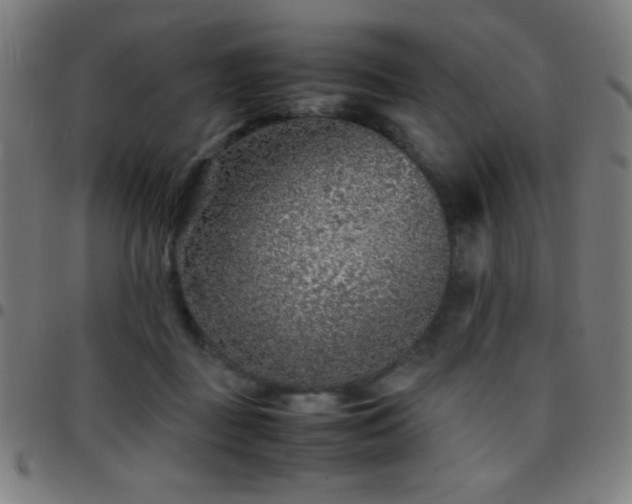 X0000097780363200803071355