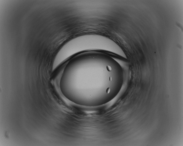 X0000097780364200803071355