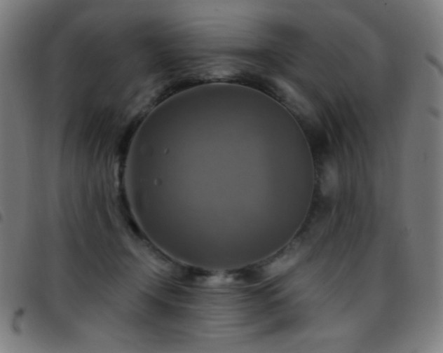 X0000097780366200803071355