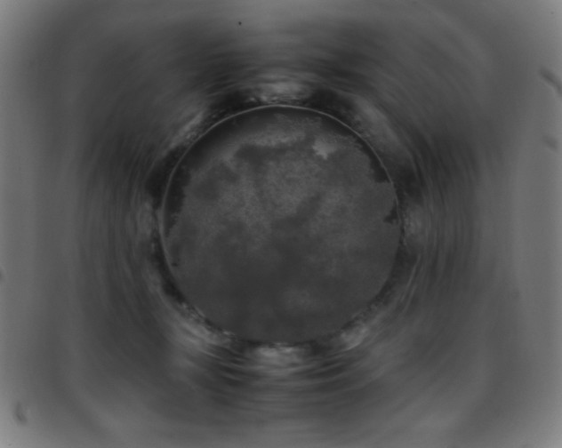 X0000097780367200803071355