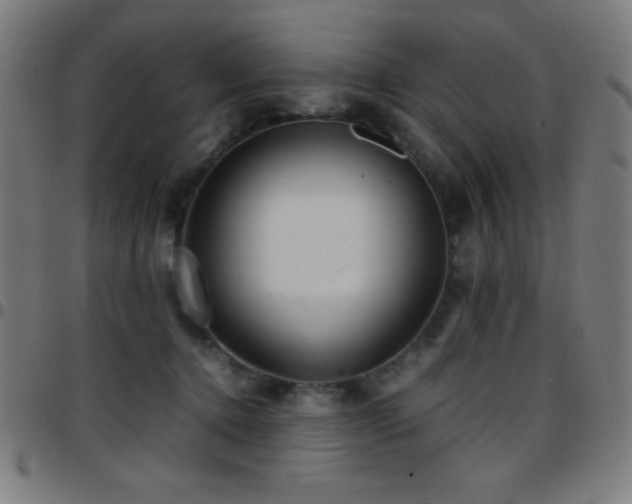 X0000097780368200803071355
