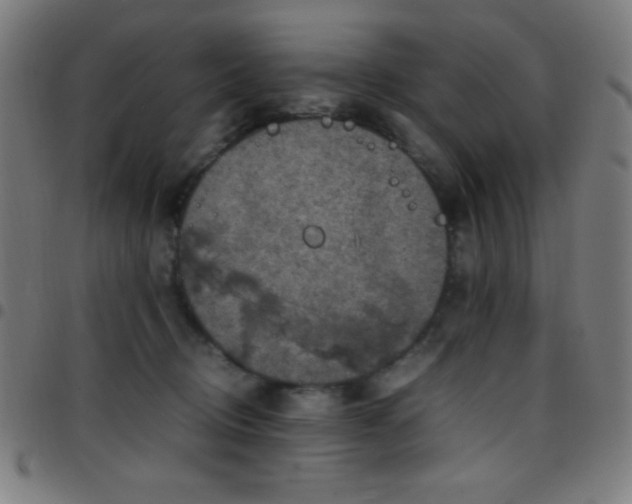 X0000097780370200803071355