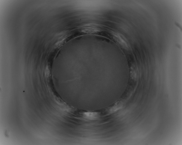 X0000097780371200803071355