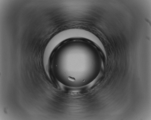 X0000097780372200803071355
