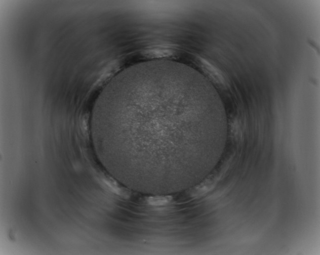 X0000097780373200803071355