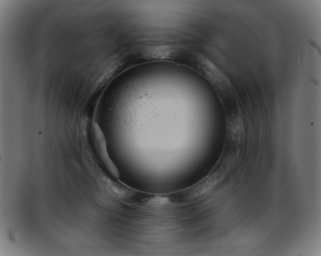 X0000097780374200803071355