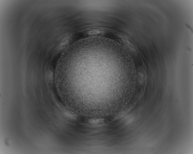 X0000097780375200803071355