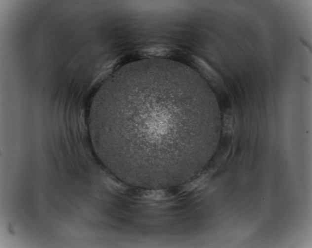 X0000097780377200803071355